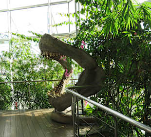 Aquarium