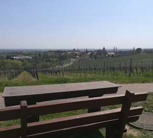 Wein- und Mandelpfad 