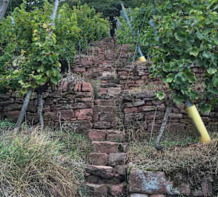 Weinbergstreppen aus Buntsandstein