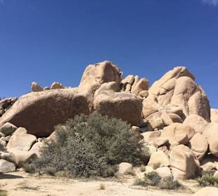 Joshua Tree National Park