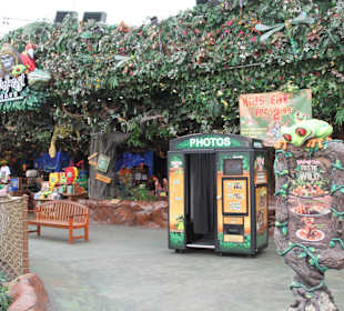 Sawgrass Mills Rainforest Cafe