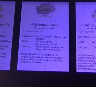 Meeresmuseum Stralsund