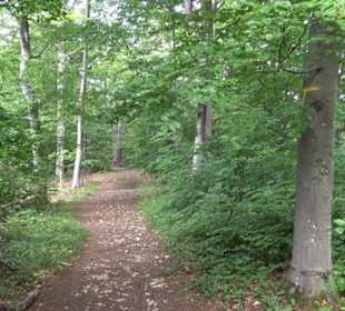 Premiumwanderweg "hochgelegen"