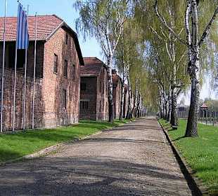 Oswiecim
