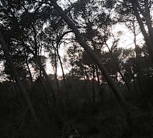 Wandern Son Macia