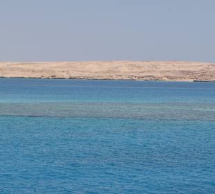 Schnorcheltrip zur Tiran-Insel