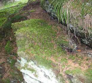 Parcul Natural Apuseni