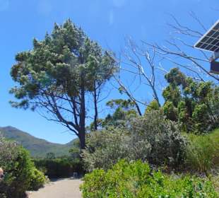 Cape Point Vineyards in Noordhoek