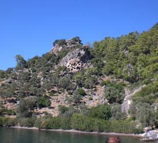 Natur Pur