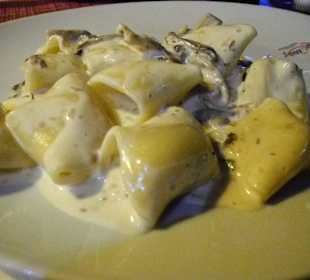 Praktisch kurze Canneloni