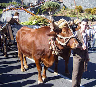 Lichterfest im Dezember