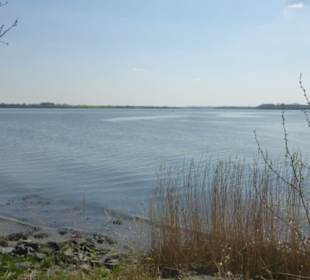 Eindrücke von unseren Priwallwanderungen