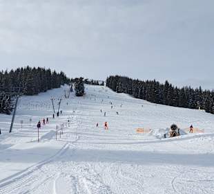 Zillertal Arena