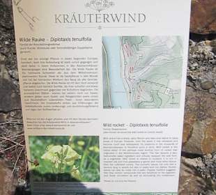 Impressionen Kräuterweg in Assmannshausen