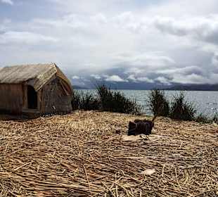 Jezioro Titicaca Peru