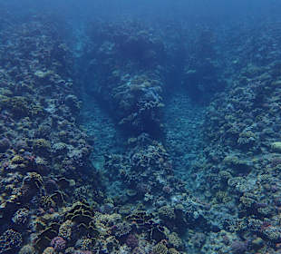 Schnorcheln Marsa Alam