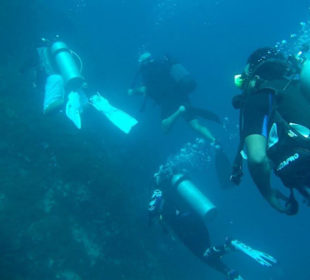 Unterwasserbegegnung bei Koh Raja Noi