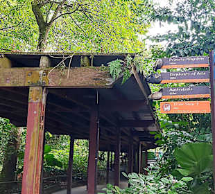 Singapur Zoo