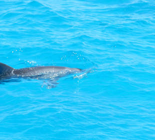 Auch von oben wunderschön