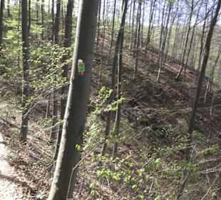 Wanderweg Hochgehkämpft