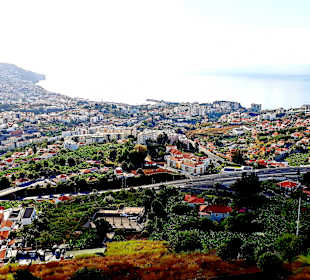 Aussichtspunkt Pico dos Barcelos