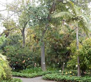 Im Jardín de aclimatación de La Orotava