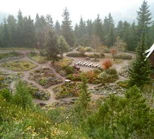 Rennsteiggarten Oberhof