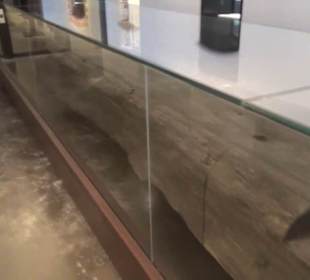 Hanselabor - Burgkloster