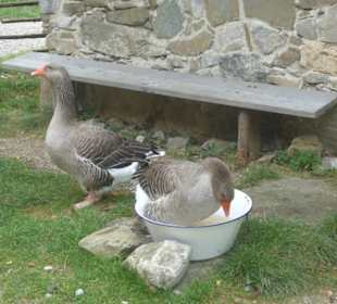 Interessantes Museum