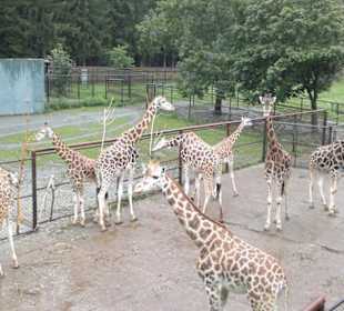 Zoo Olomouc