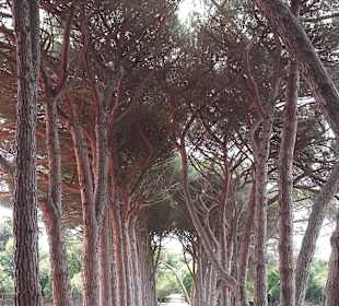 Stadtbesichtigung Banjole