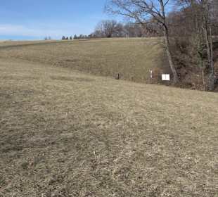 Naturschutzgebiet Meisenbühl