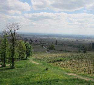 Blick vom Schloss in die Rheinebene