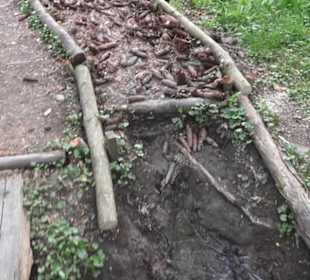 Barfußpfad Firstwald