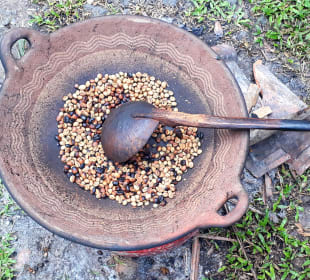 Harni's Plantation