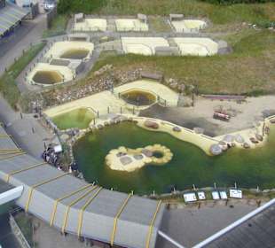 Ausblick vom Aussichtsturm