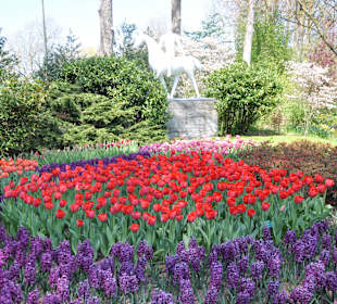 Парк Кекенхоф в Голандии