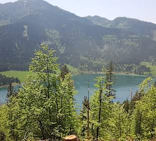 Wandern Weissensee