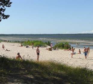 Strand von Vösu