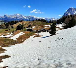 Fotomotive non stopp 