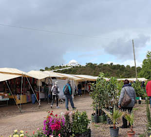 Auf dem Zigeunermarkt in Loule