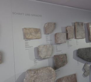 Rheinisches Landesmuseum