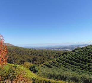 Weingut Tokara in Stellenbosch