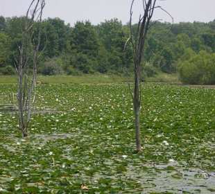 Der Buzzard´s Roost Lake