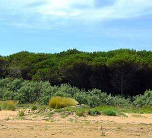 Leuchtturm Richtung Lignano