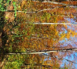 Blick auf den Wienerwald