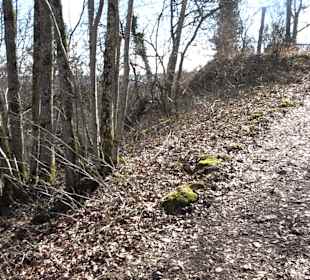 Fürstlicher Park Inzigkofen