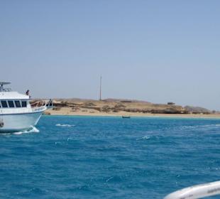 Schnorchel-/Tauchausflug zu den Giftun Inseln