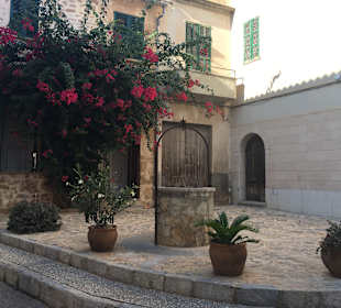 Stadtrundfahrt Alcudia
