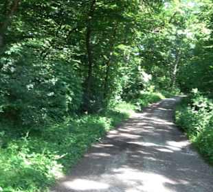 Waldinformationssystem „Lebendiger Wald“